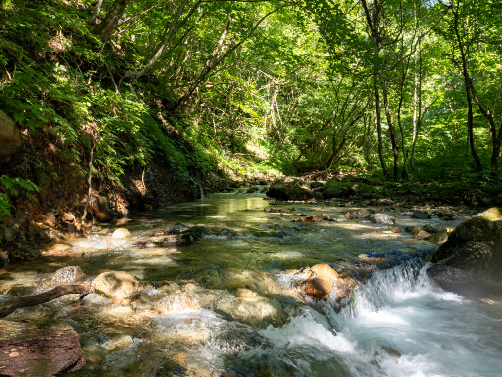 渓流の風景。